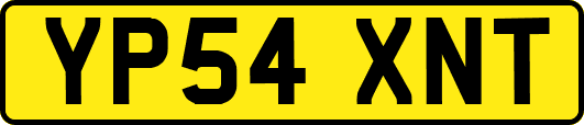 YP54XNT