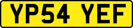 YP54YEF