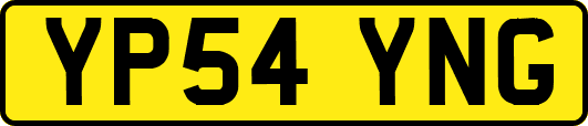 YP54YNG