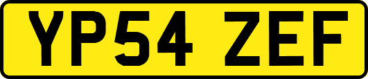 YP54ZEF