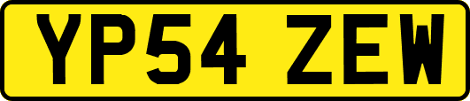 YP54ZEW