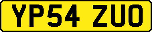 YP54ZUO