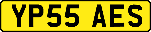 YP55AES