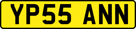 YP55ANN