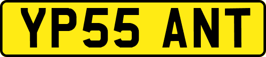 YP55ANT
