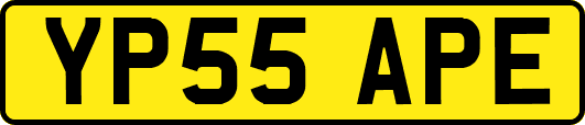 YP55APE