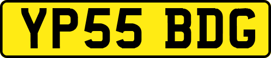YP55BDG
