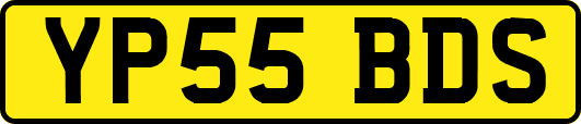 YP55BDS
