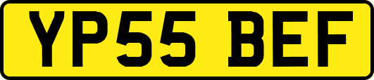 YP55BEF