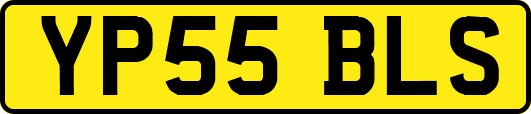 YP55BLS