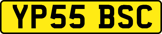 YP55BSC