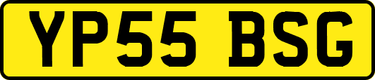 YP55BSG