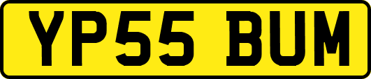 YP55BUM