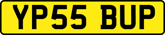 YP55BUP