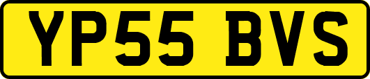 YP55BVS