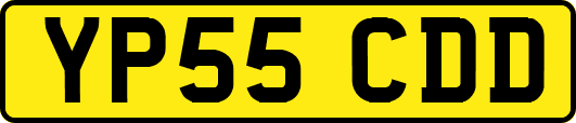 YP55CDD
