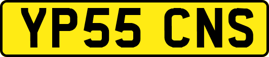 YP55CNS