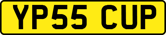 YP55CUP