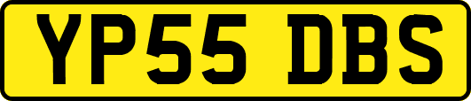 YP55DBS