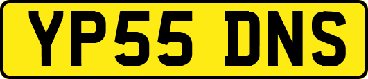 YP55DNS