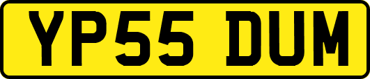 YP55DUM