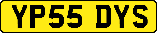 YP55DYS