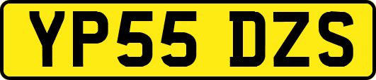 YP55DZS