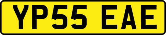YP55EAE
