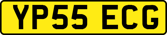 YP55ECG