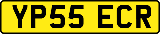 YP55ECR