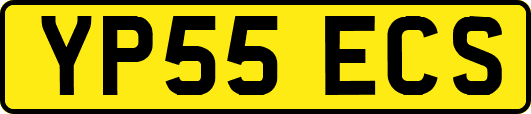 YP55ECS