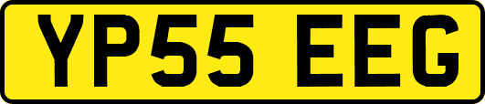 YP55EEG