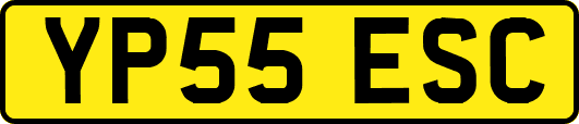 YP55ESC