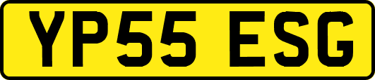 YP55ESG