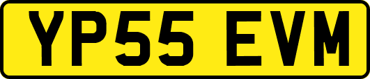 YP55EVM