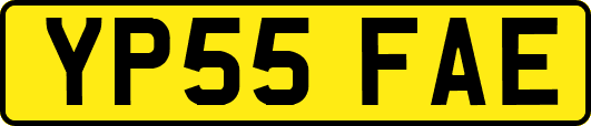 YP55FAE