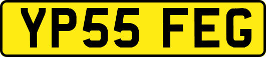 YP55FEG