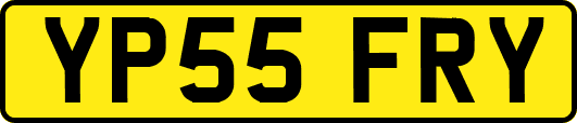 YP55FRY