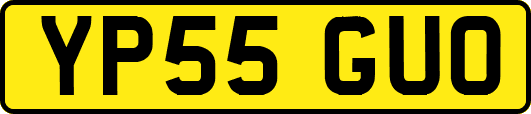 YP55GUO