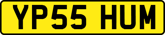 YP55HUM