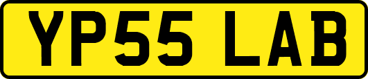 YP55LAB