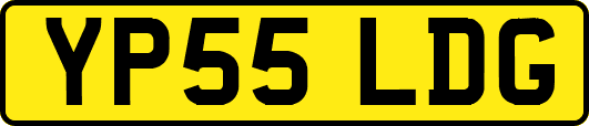 YP55LDG