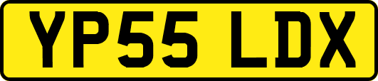 YP55LDX