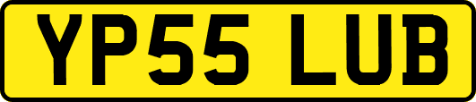 YP55LUB