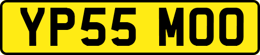 YP55MOO