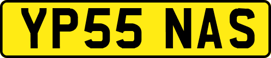 YP55NAS
