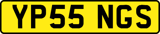 YP55NGS