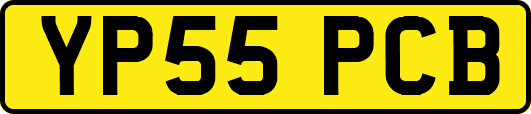 YP55PCB