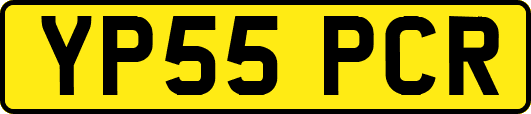 YP55PCR