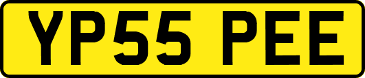 YP55PEE